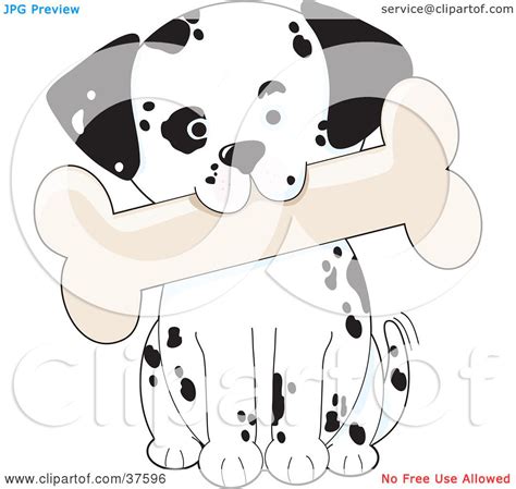 Clipart Illustration Of A Cute Dalmatian Puppy Dog Tilting His Head And
