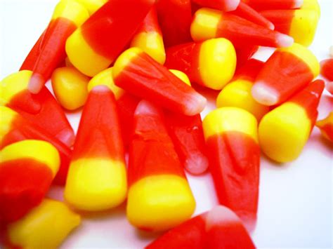 Candy Corn Free Photo Download Freeimages