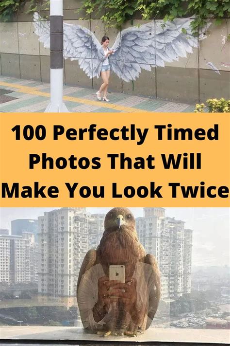 funny optical illusions creepy scary perfectly timed photos pool photos birdman once in a