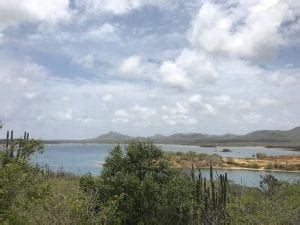 X Wat Te Doen Op Bonaire Wearetravellers