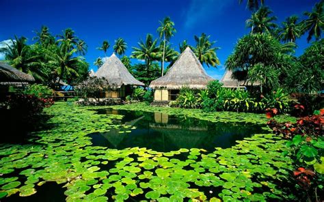 Nature Tropical Paradise Islands Luoghi Luoghi Da Visitare Bellezza