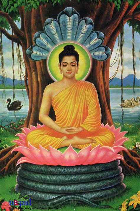 Fruity Updatesby Iidsians Gautama Buddha