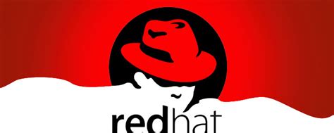 Techpro23 Best Linux Distros For The Enterprises Red Hat Linux Mint