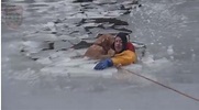 Wellesley dog rescued after falling through the ice on the Charles ...