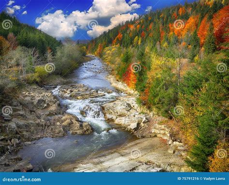 Autumn Creek Woods And Rocks In Forest Mountain Stock Photo Image Of