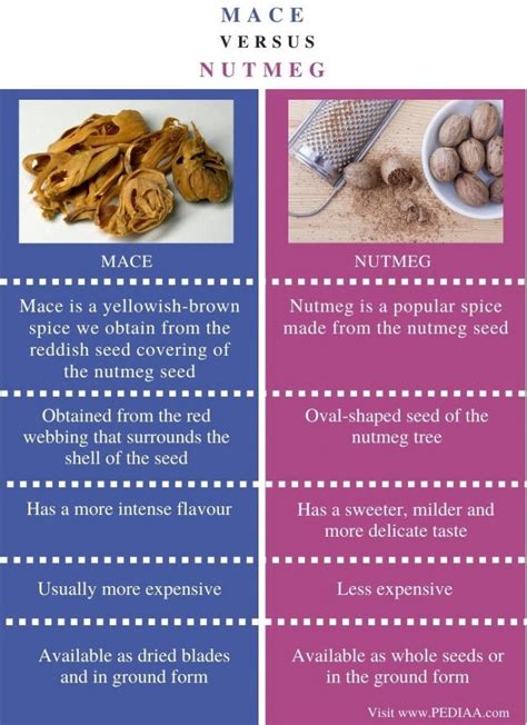 What Is The Difference Between Mace And Nutmeg Pediaa