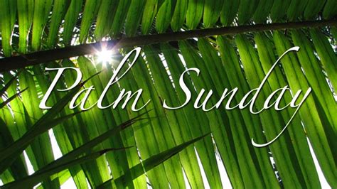 Pin On Palm Sunday