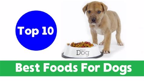 Watermelon is one of the best human foods for dogs because of its increased antioxidant levels, and it improves the immune system functioning, improves circulation, betters heart health, increases. Top 10 Best Human Foods for Dogs 2018 !! Dog Health Tips ...