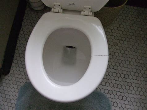 What Causes A Toilet Bowl To Crack Storables