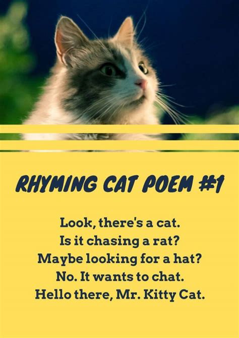 20 poems about cats funny saroashelden