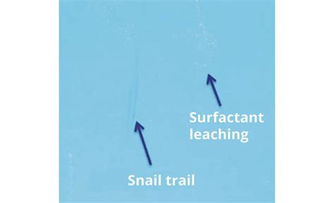 Non Leaching Reactive Surfactants For Architectural Latex Binders