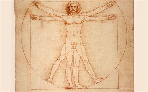 Vitruvian Man Wallpapers Top Free Vitruvian Man Backgrounds