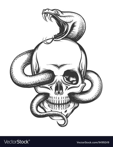 Snake And Skull Engraving Royalty Free Vector Image