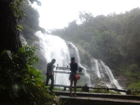 Vachirathan Waterfall Picture Of Mae Sa Waterfall Chiang Mai