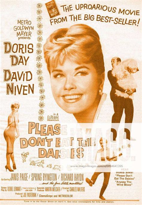 Doris Day Film Poster Film Please Don T Eat The Daisies USA 1960