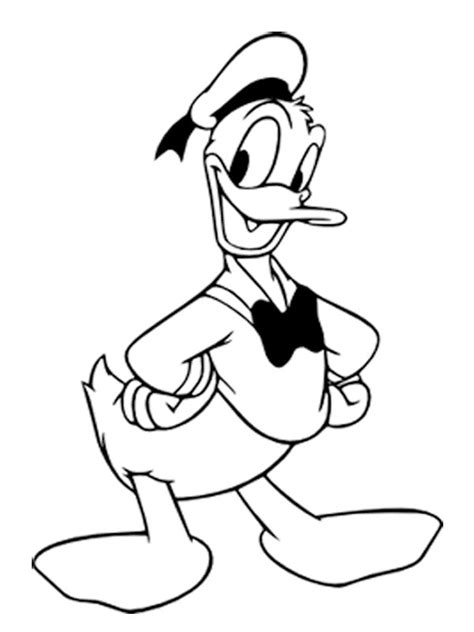 Donald Duck De Colorat Desene Planse Si Fise De Colorat