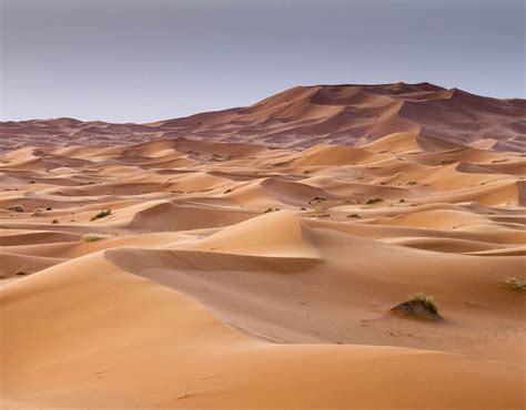Red Sand Dunes In Erg Chebbi Sahara Desert Morocco Stunning Images