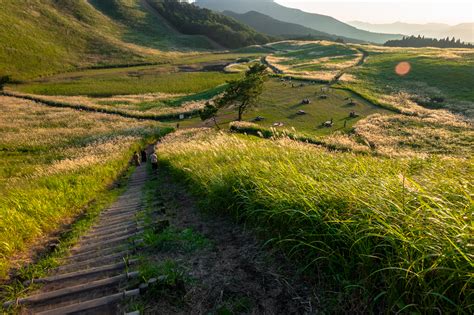 奈良 曽爾高原秋におすすめ 一面ススキの草原が広がる絶景の高原写真スポット！撮影した写真の紹介、 アクセス情報や撮影ポイントなど