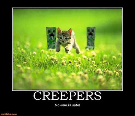 Hilarious Demotivational Poster About Minecraft Creepers Found On The Minecraft Wiki Cute