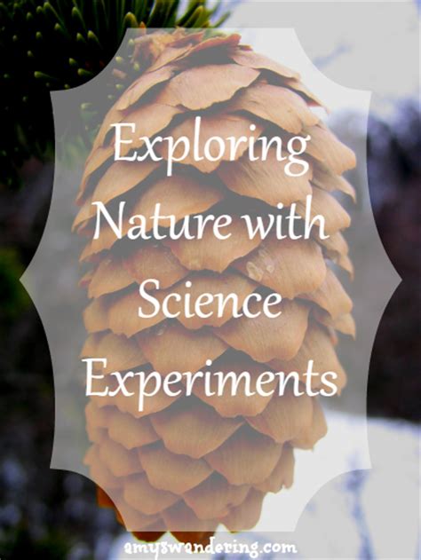 Exploring Nature With Science Experiments Amys Wandering