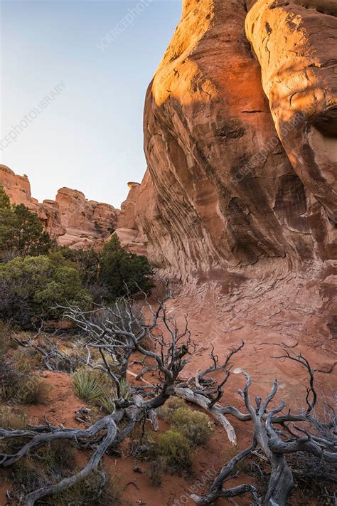 Rock Formation Arches National Park Moab Utah Usa Stock Image
