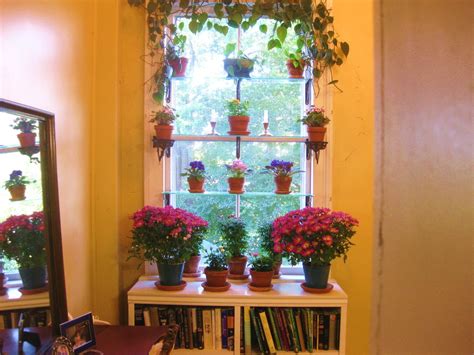 Beautiful Window Garden How To Arrange And What To Grow Makes Me
