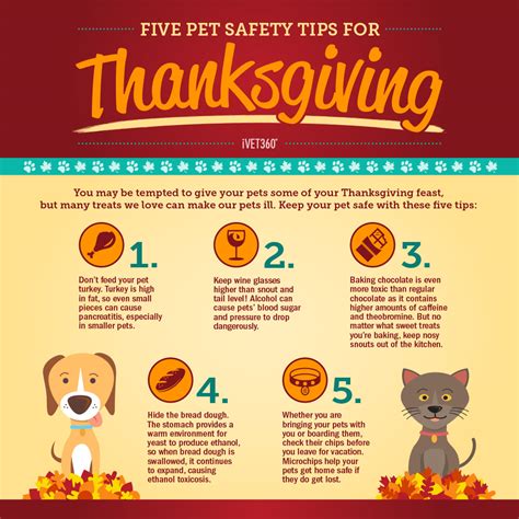 Five Pet Safety Tips For Thanksgiving Ivet360 Content Library