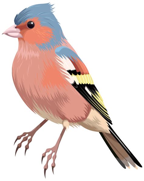 Bird Png Clip Art Best Web Clipart