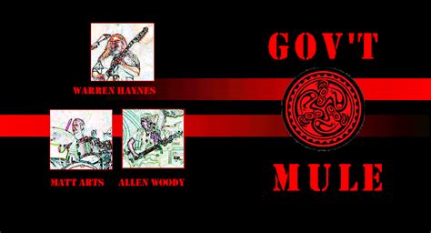 Govt Mule Cd Covers 1994 2001