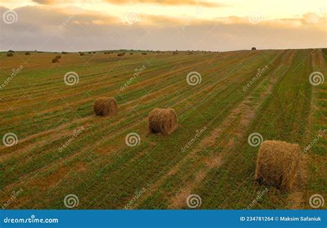 Haystack In Field On Sunset Hay Bale From Residues Grass Hay Stack