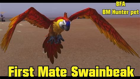 WoW Battle for Azeroth - BM Hunter - First Mate Swainbeak ...