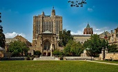 Yale University establishes committee to help white applicants | The ...