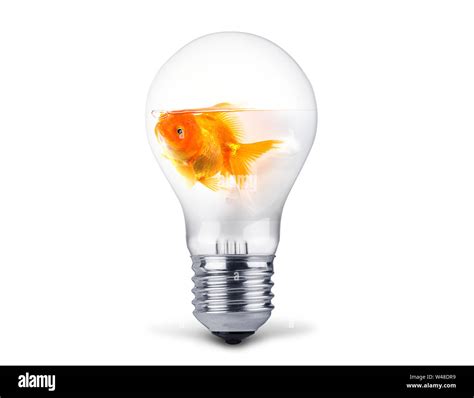Cartoon Goldfish Swimming In Water Hi Res Stock Photography And Images