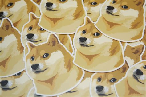 1080 X 1080 Doge Doge Wallpaper 1920x1080 87 Images The Great