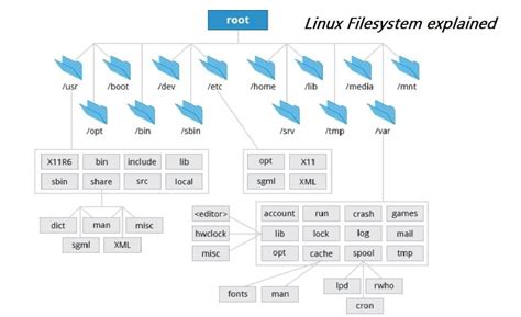What Is The Linux File System Unix Linux File System Basics