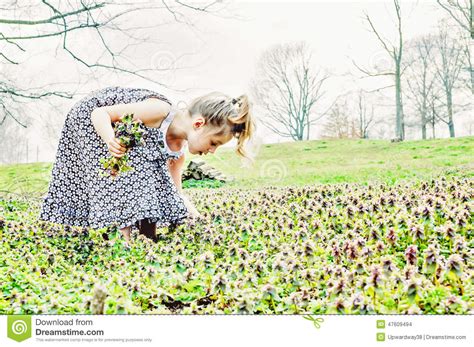 Young Girl Picking Flowers Stock Photo Image Of Picking 47609494
