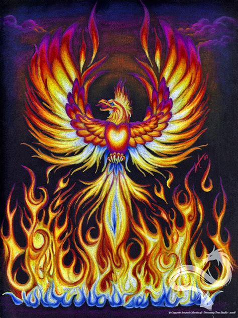 Phoenix Rising Colored Pencil Drawing Prints Available