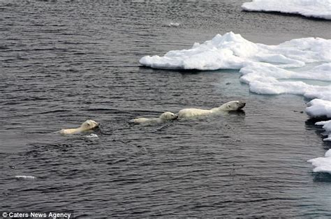 Staggering Arctic Map Shows How Impassable Northwest Passage Is Opening