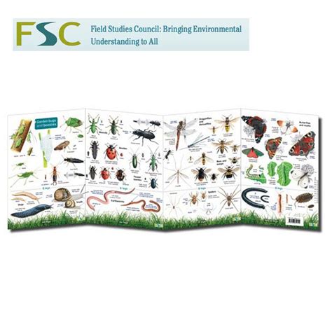 Fsc Fold Out Chart Garden Bugs And Beasties Tamarack Outdoors