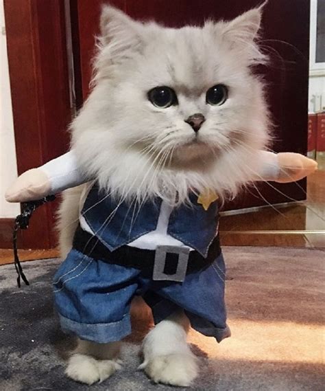 Pet Cat Costume Suit Cowboy Outfit Clothes For Halloween Christmas