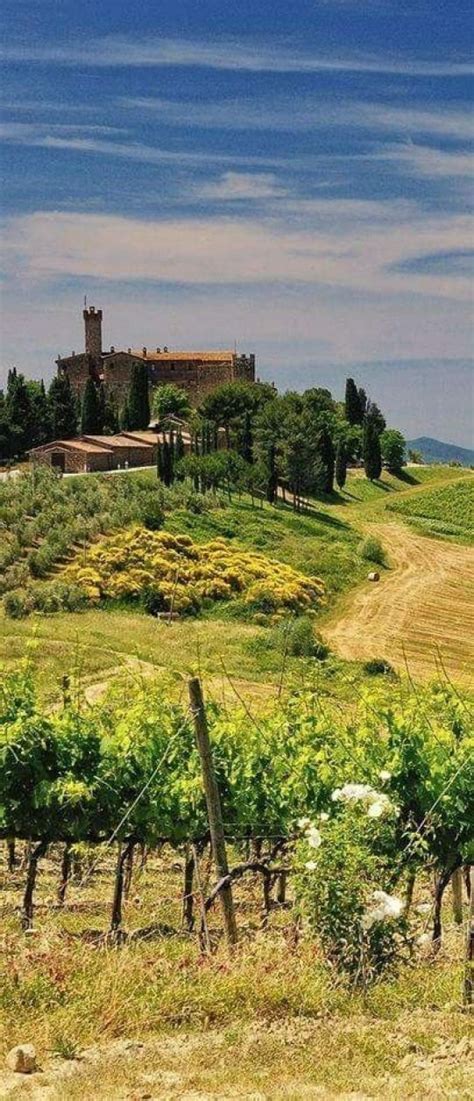Tuscan Villa Landscapephotography Landscape Photography Italy
