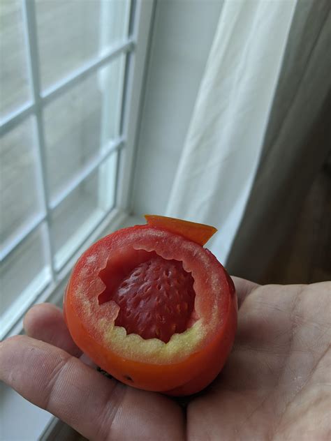 Tomato With A Strawberry Growing Inside Of It Rmildlyinteresting