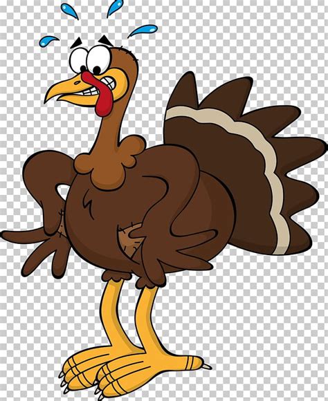 Black Turkey Thanksgiving Cartoon Png Clipart Animal Animation Art