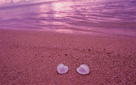 Maybe you would like to learn more about one of these? heart, Shells Wallpapers HD / Desktop and Mobile Backgrounds