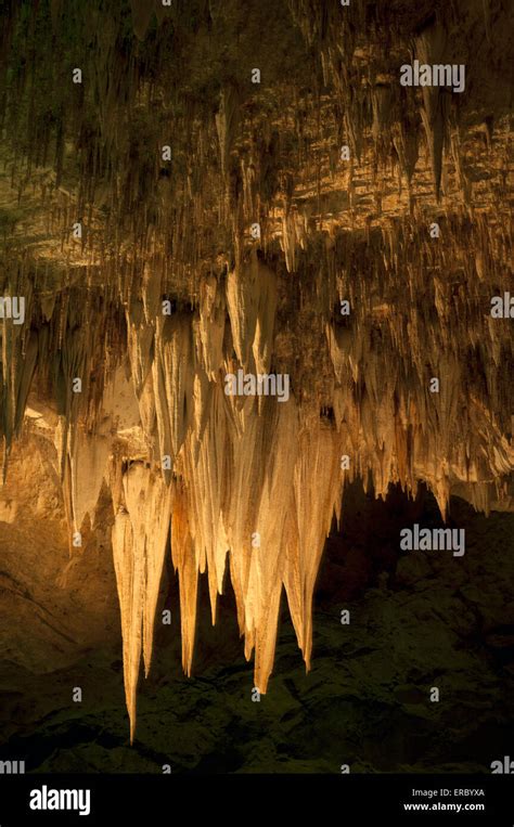 Stalactites Carlsbad Caverns National Park Stock Photo Alamy