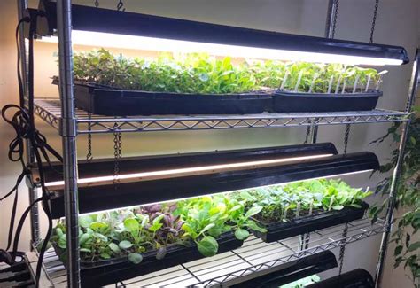 Get the latest generation cob's a grow light should physically cover at least 2/3 of your grow space and it works best if the entire. 27 DIY Led Grow Lights For Growing Plants Indoors - Home ...