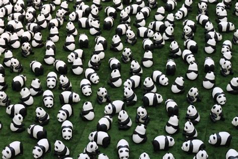 Its Panda Monium 888 Pandas On Display At Metropolis At Metrotown
