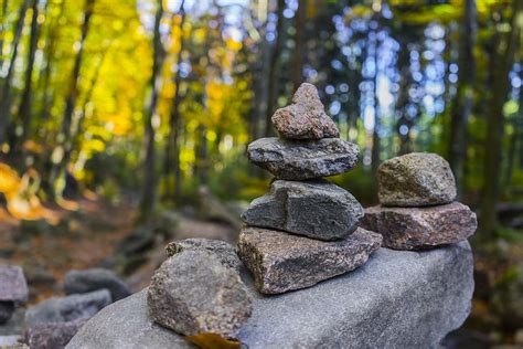 Free Download Gray Pile Stones Trees Balance Blurred Background