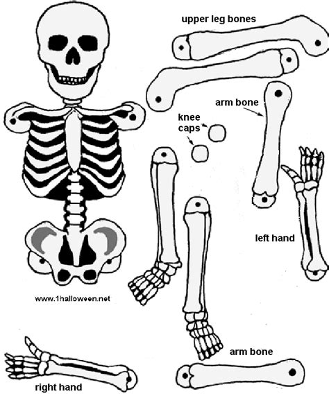 Skeleton Cutout This Site Has Riddles Coloring Pages Games All Kinds