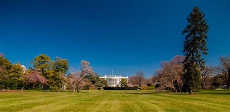 The White House Free Stock Photo Public Domain Pictures